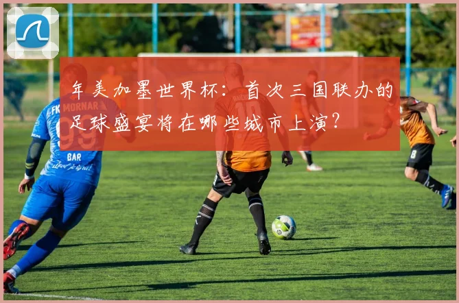 年美加墨世界杯:首次三国联办的足球盛宴将在哪些城市上演?